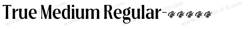 True Medium Regular字体转换